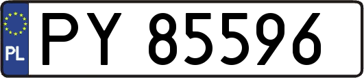 PY85596