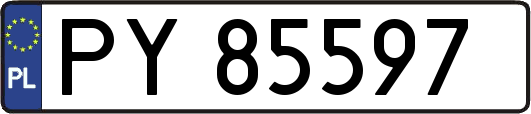 PY85597
