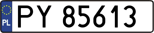 PY85613