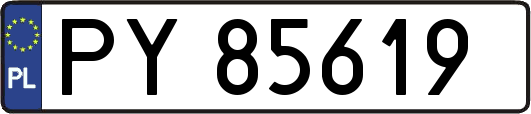 PY85619