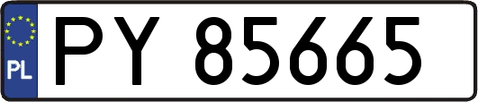PY85665