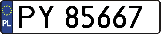 PY85667