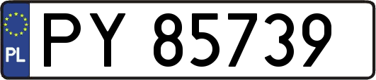 PY85739