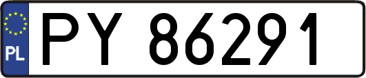 PY86291