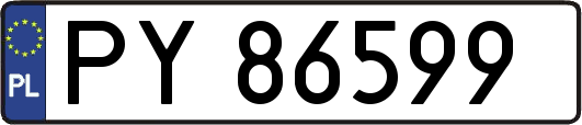 PY86599