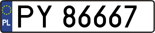 PY86667