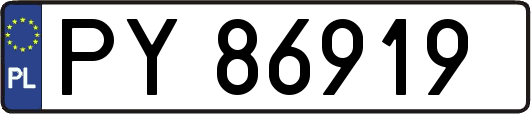 PY86919