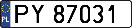 PY87031