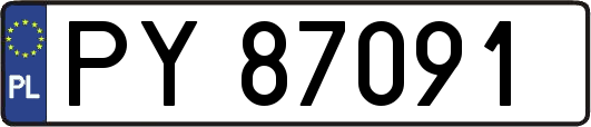 PY87091