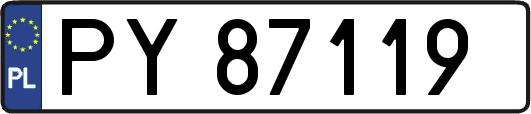 PY87119