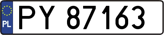 PY87163