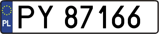 PY87166