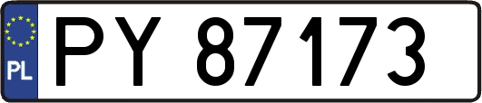 PY87173