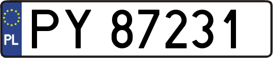 PY87231