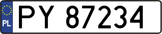 PY87234