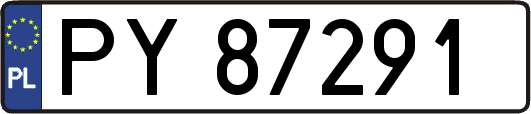PY87291