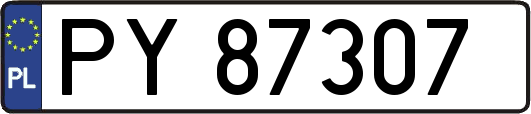PY87307