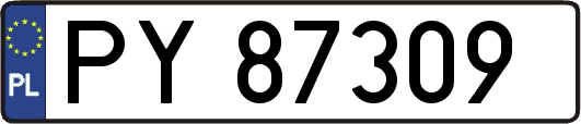 PY87309