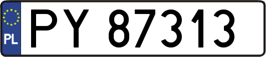 PY87313