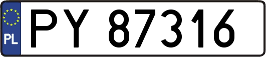 PY87316