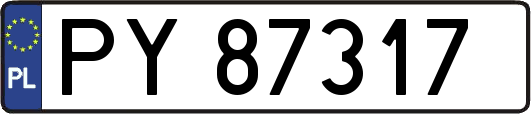PY87317