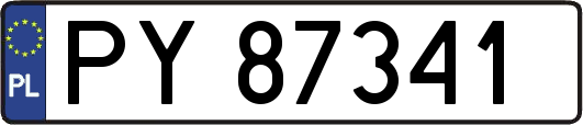 PY87341
