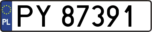 PY87391