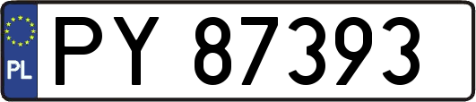 PY87393