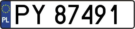 PY87491