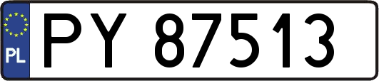 PY87513