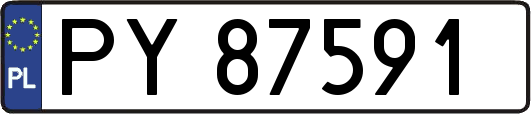 PY87591