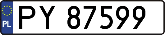 PY87599