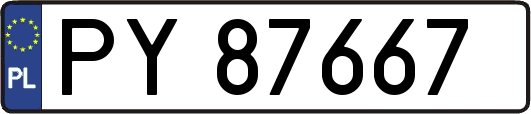 PY87667