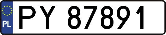 PY87891
