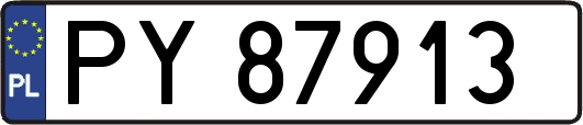 PY87913
