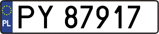 PY87917