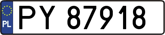 PY87918