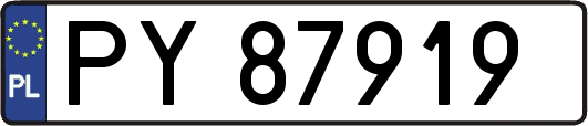PY87919