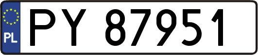 PY87951