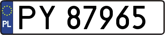 PY87965