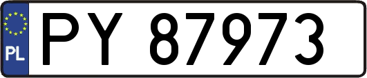 PY87973