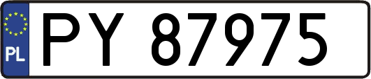 PY87975