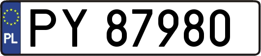 PY87980
