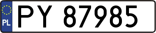 PY87985