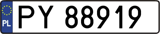 PY88919
