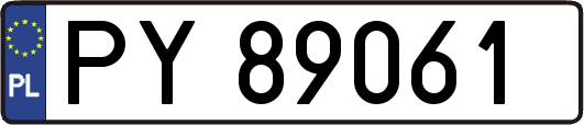 PY89061
