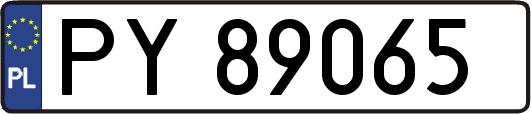 PY89065