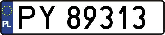 PY89313