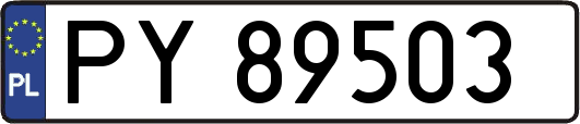 PY89503