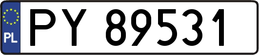 PY89531